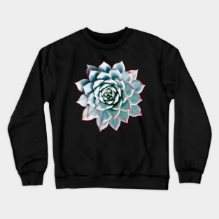 Suculenta Echeveria Blue Crewneck Sweatshirt